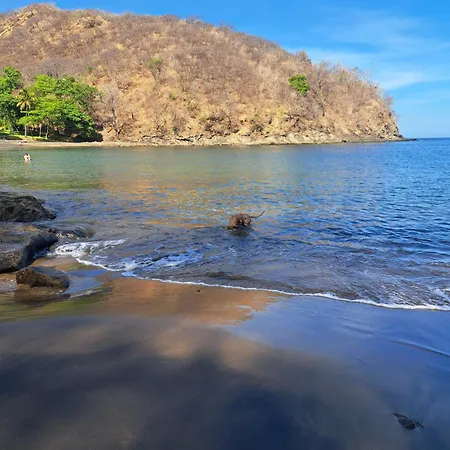 Guesthouse Casa Avi Fauna Playa Ocotal Exterior photo