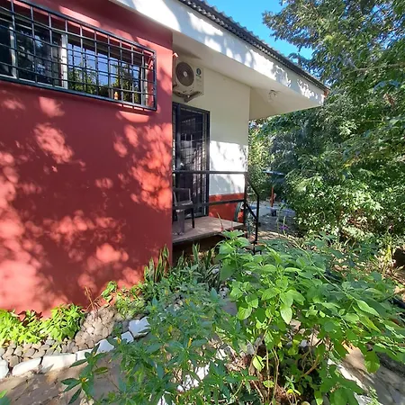 Guesthouse Casa Avi Fauna Playa Ocotal Exterior photo