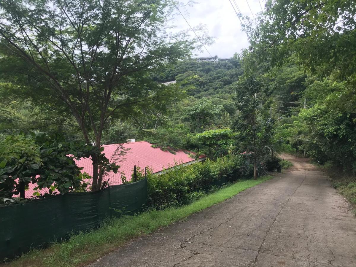 Homestay Casa Avi Fauna
