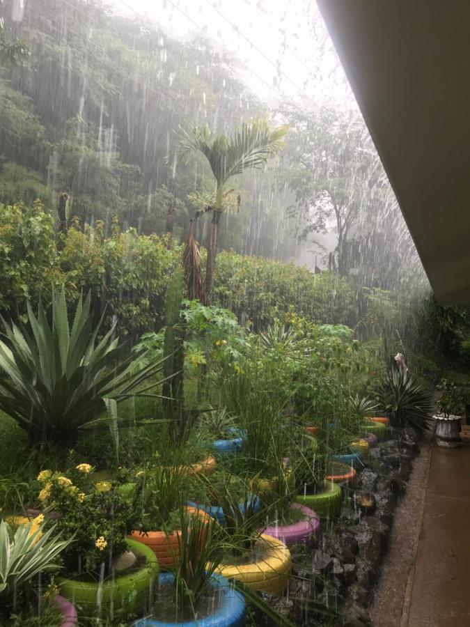 Casa Avi Fauna Homestay Playa Ocotal