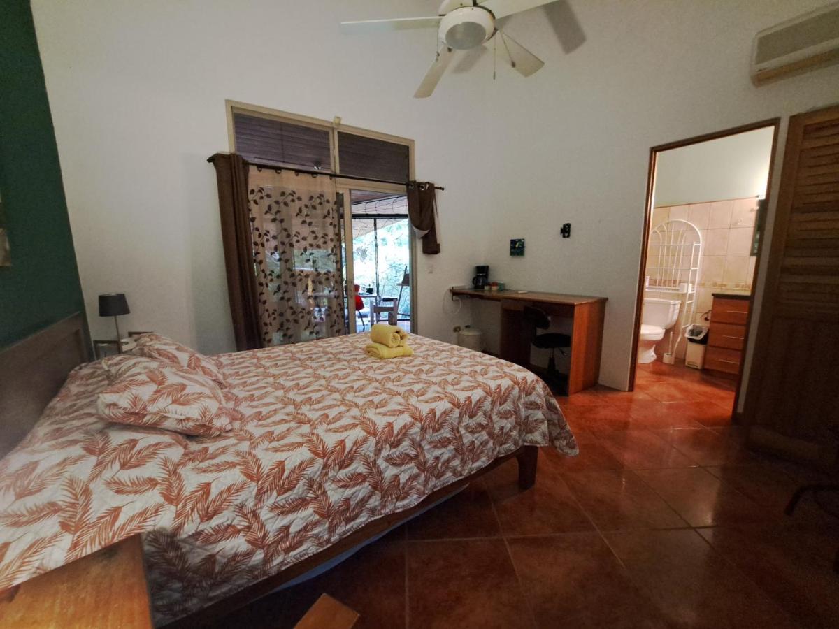 Homestay Casa Avi Fauna *