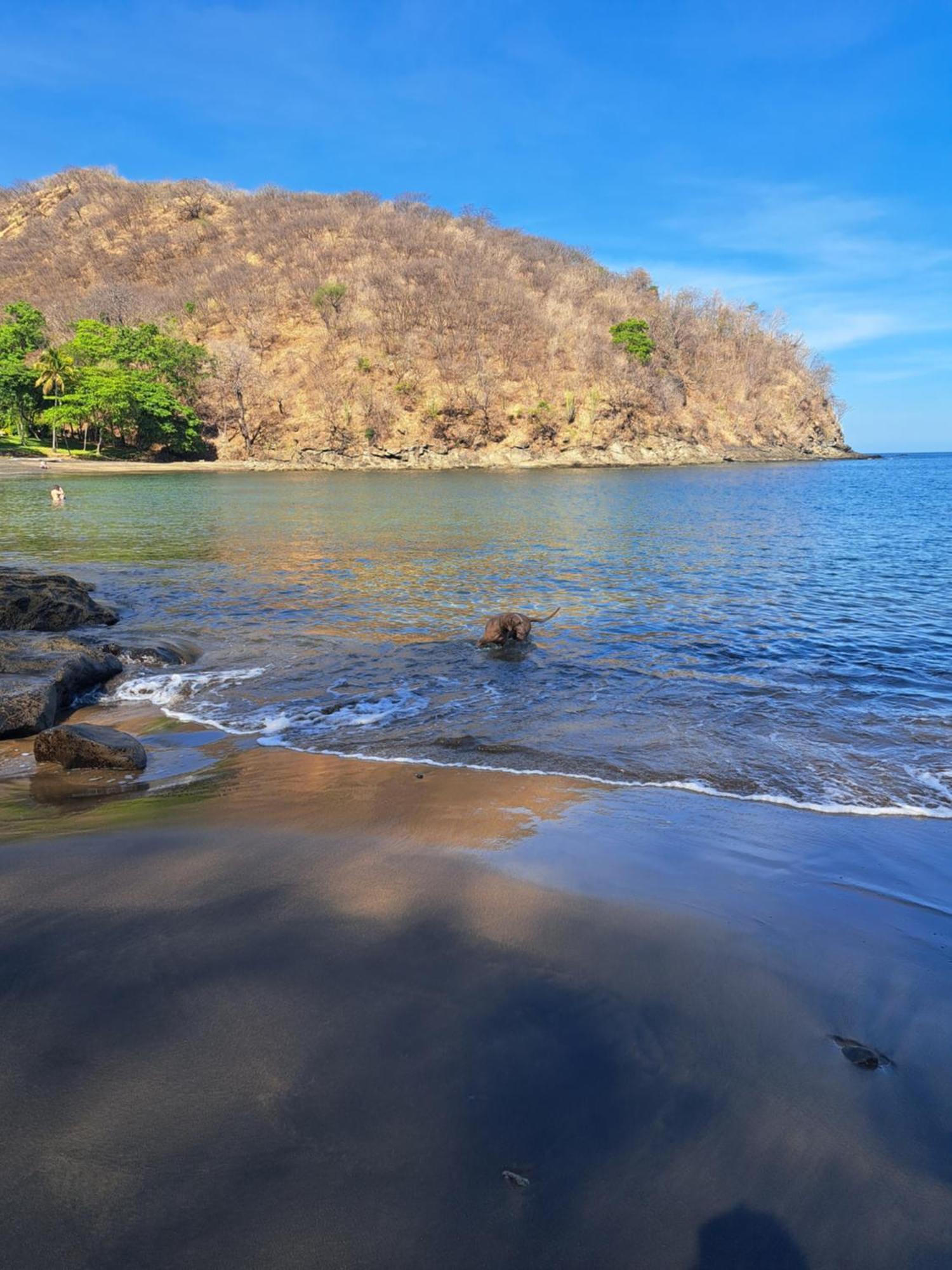 Casa Avi Fauna Homestay Playa Ocotal