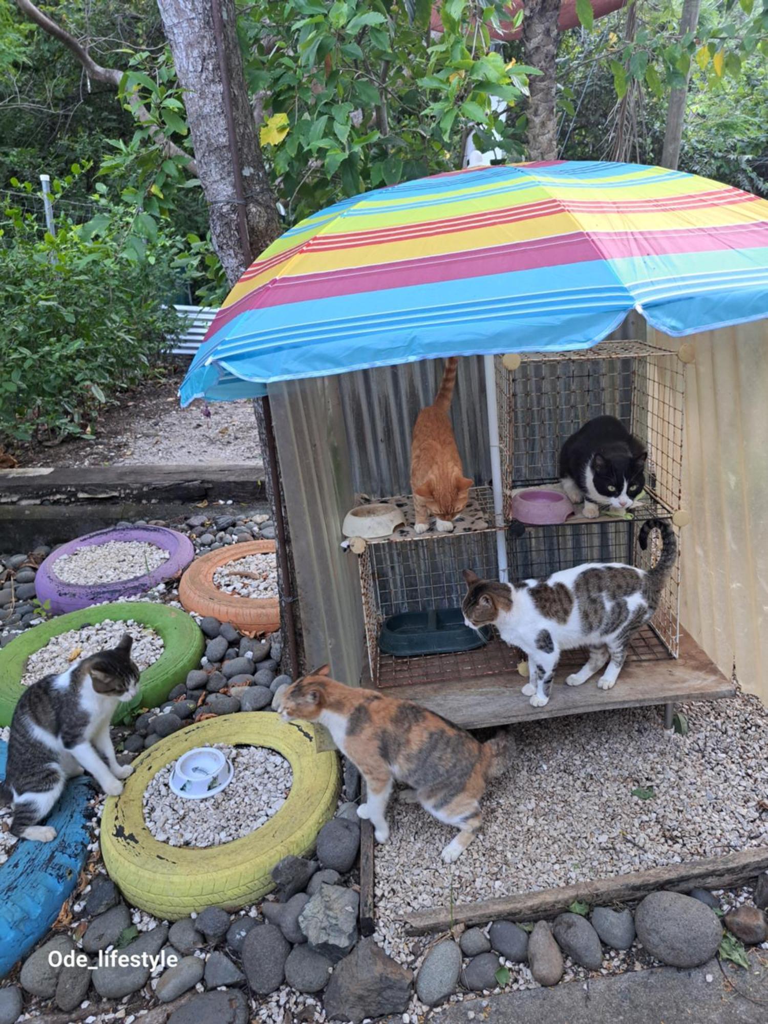 Casa Avi Fauna Homestay Playa Ocotal