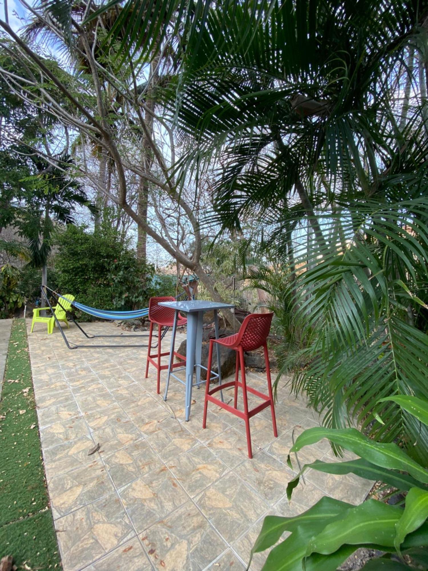 Homestay Casa Avi Fauna *