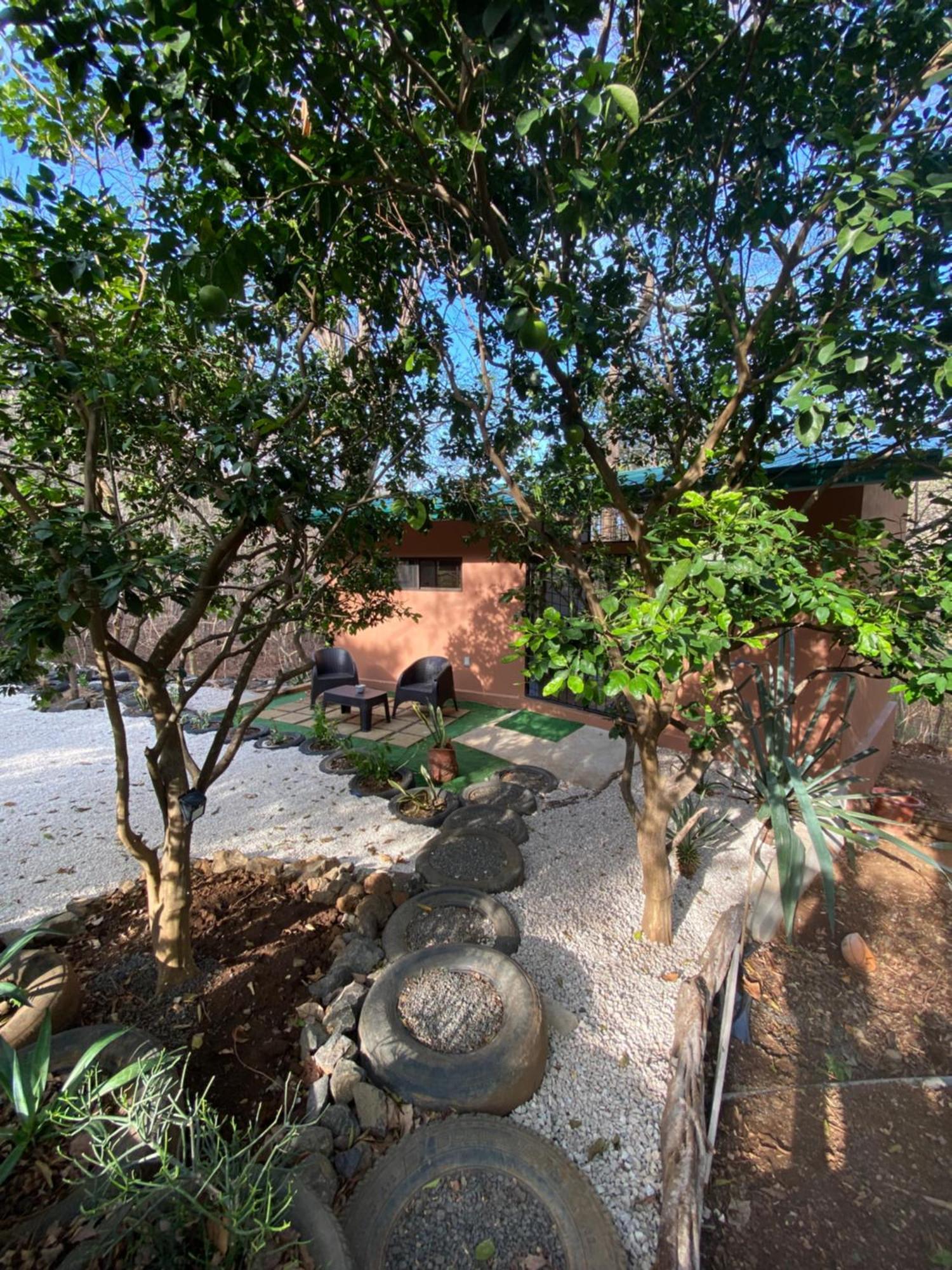 Casa Avi Fauna