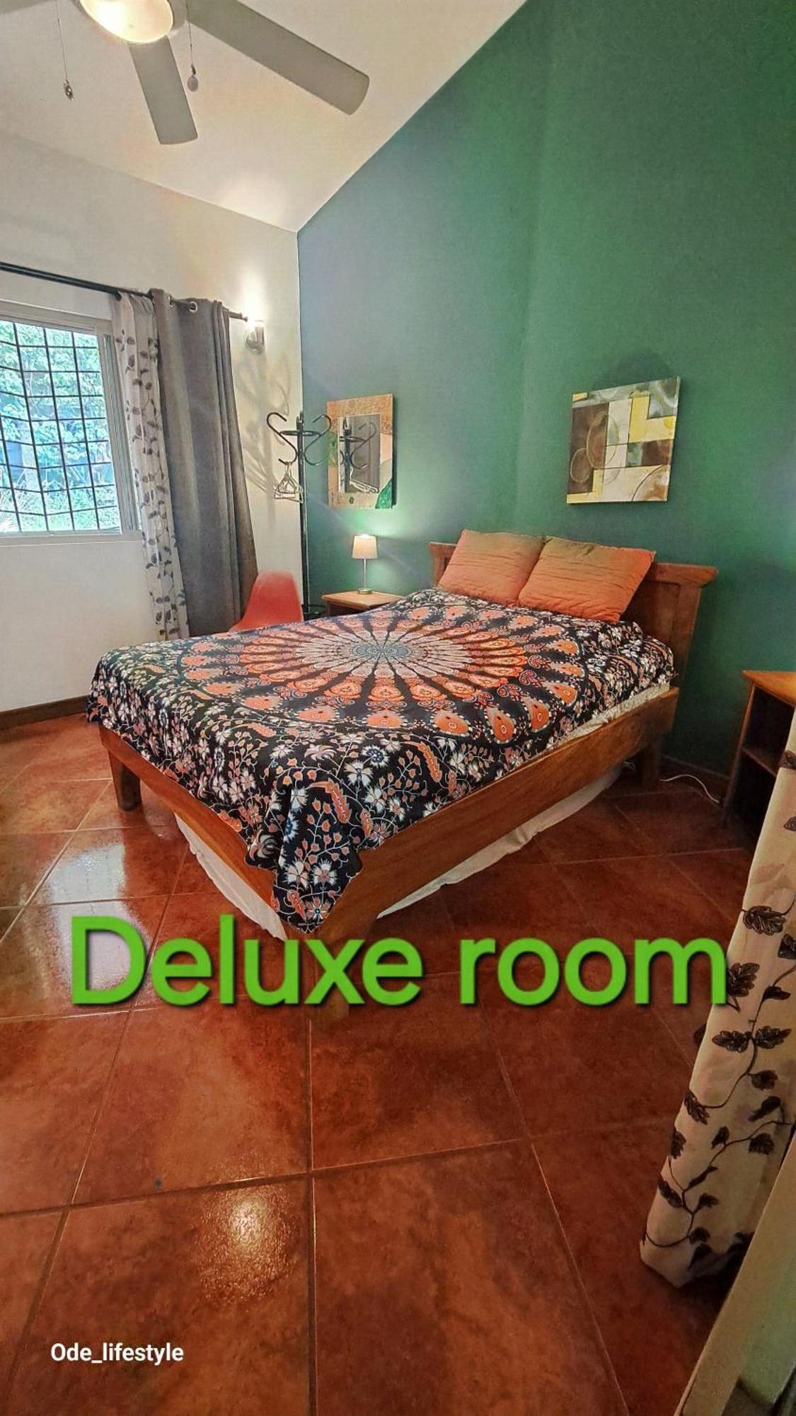 Homestay Casa Avi Fauna *
