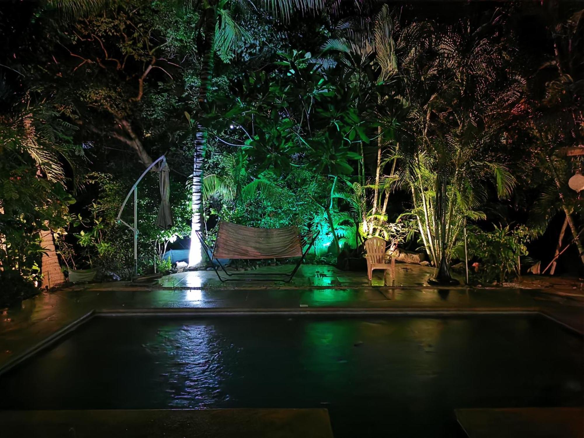 Casa Avi Fauna Homestay *