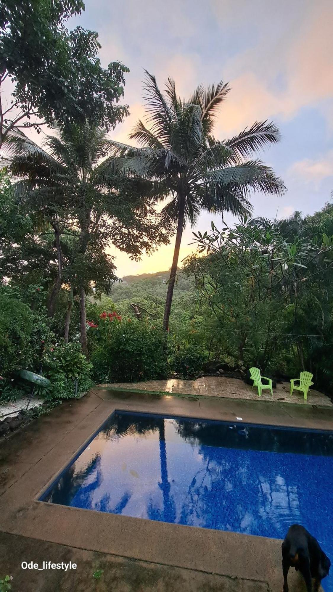 Casa Avi Fauna Playa Ocotal
