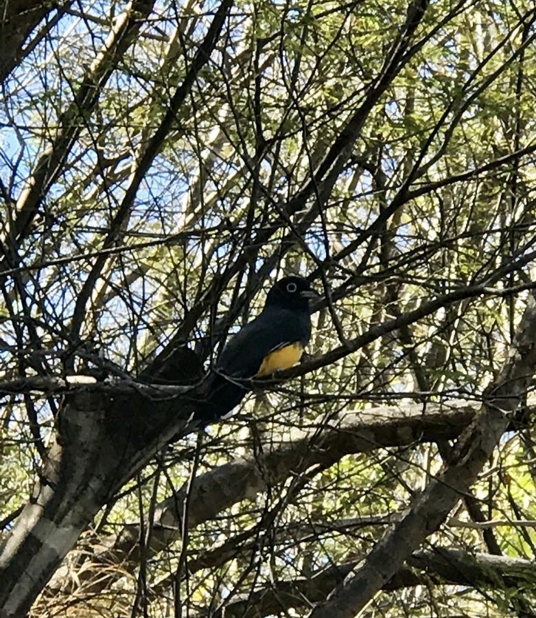 Homestay Casa Avi Fauna *