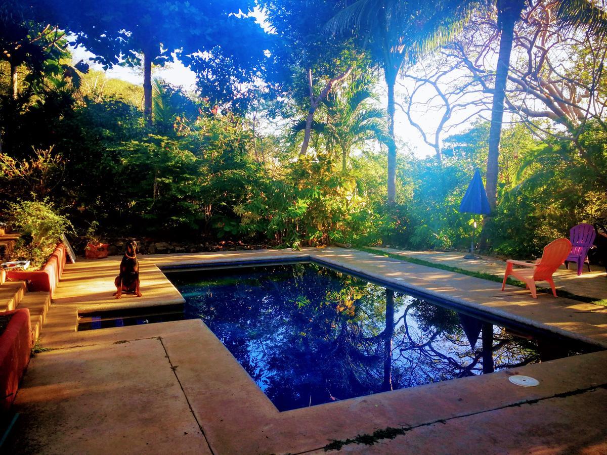 Homestay Casa Avi Fauna *