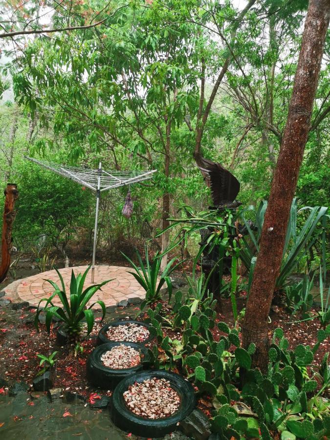 Casa Avi Fauna Homestay *